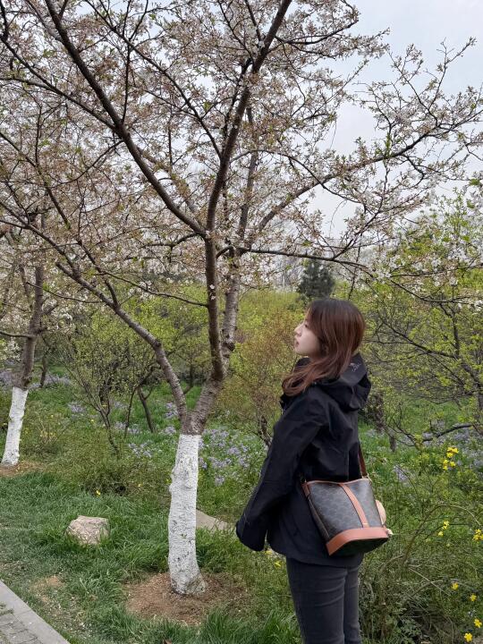 🌸