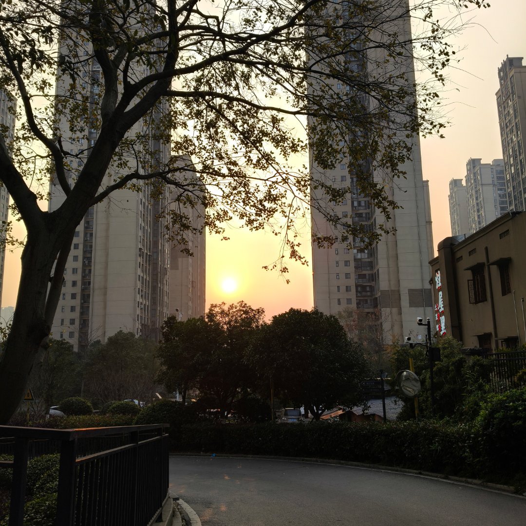 晚上好宝宝们 刷到动动呀