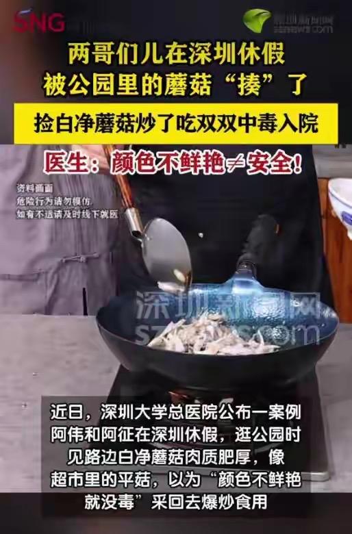 俩男子在深圳休假，见公园路边白蘑菇看着肥厚新鲜，竟信了“颜色不艳就没毒”的老话，