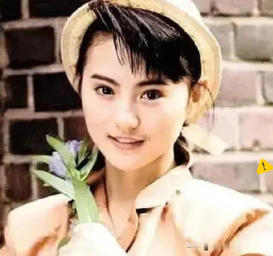 2007年那事儿，直接把李赛凤跟老公罗启仁的婚姻干裂了。

那天罗启仁没按点下班