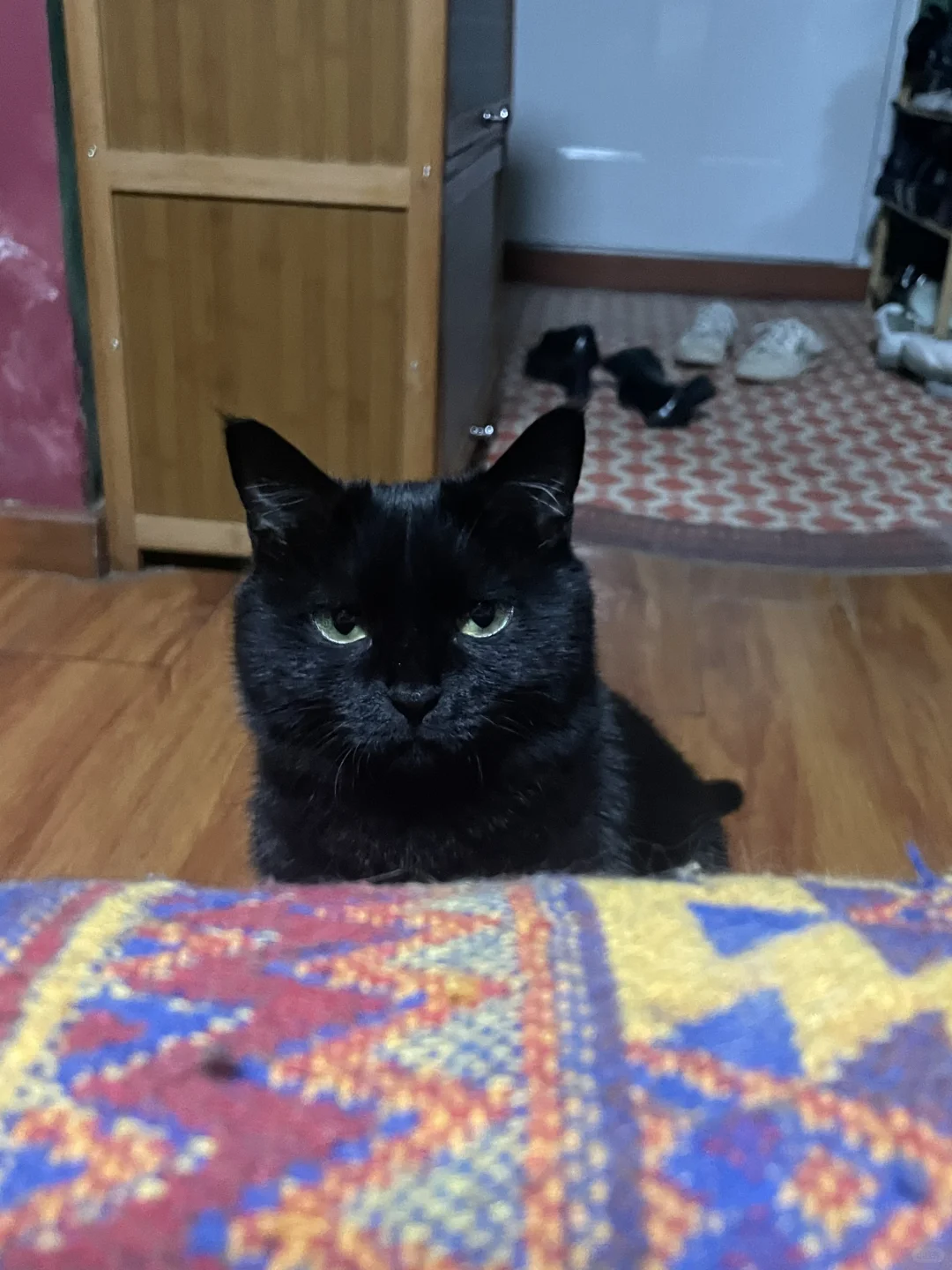 通知：我生气了 😒 后果很严重