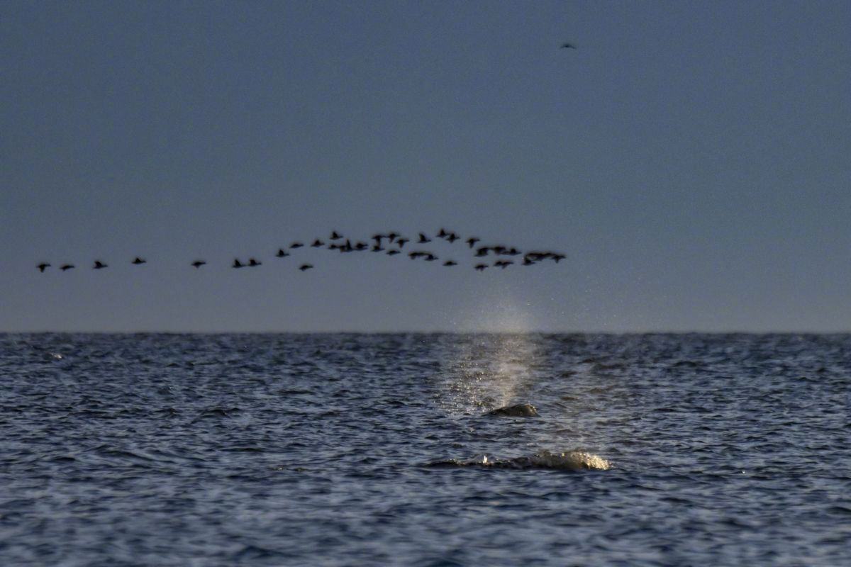 #夜读#【研究：#陨石并非地球水主要来源#】据英国科学新闻网站1月25日报道，一