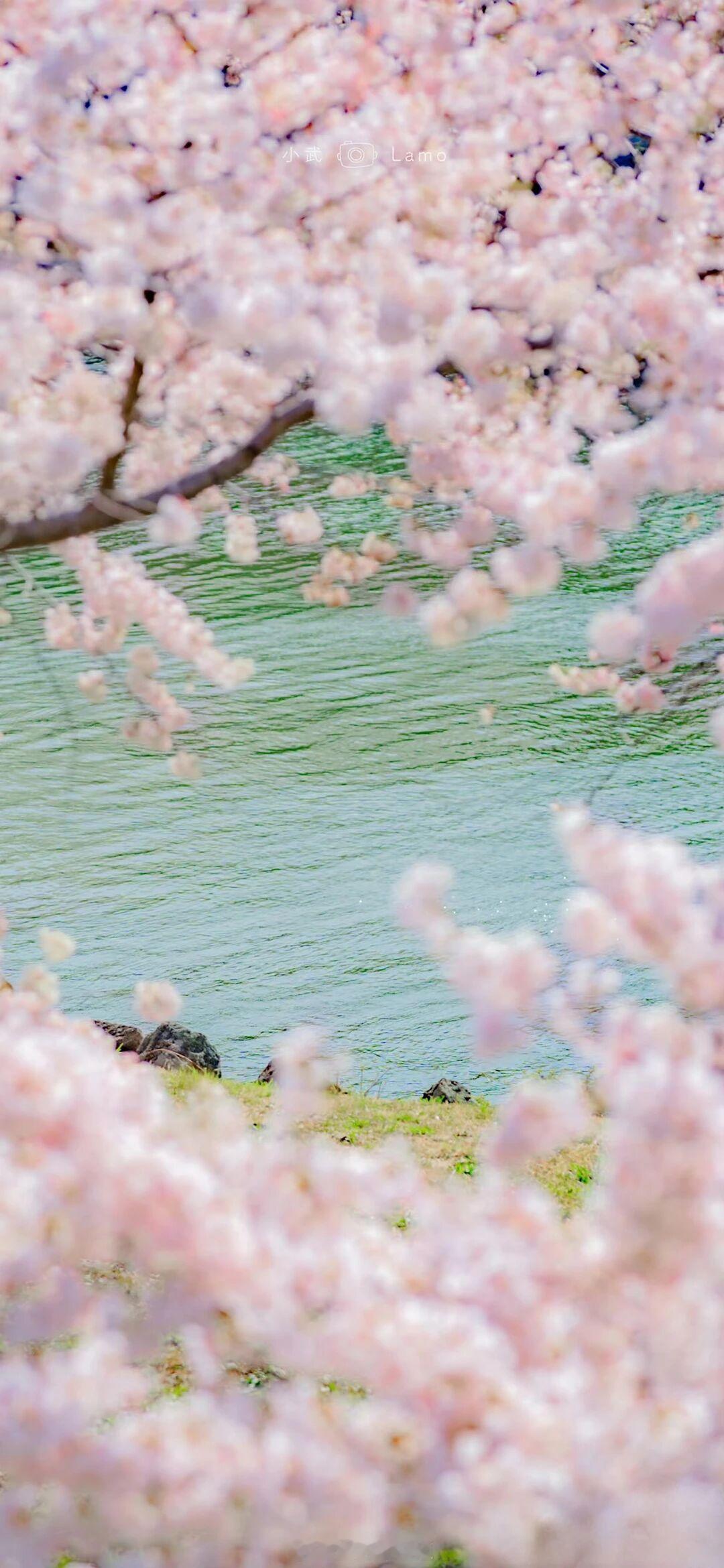 我不需要你来告诉我我应该是什么样子你不喜欢我那不是我的错—— 陈繁齐《我不需要》