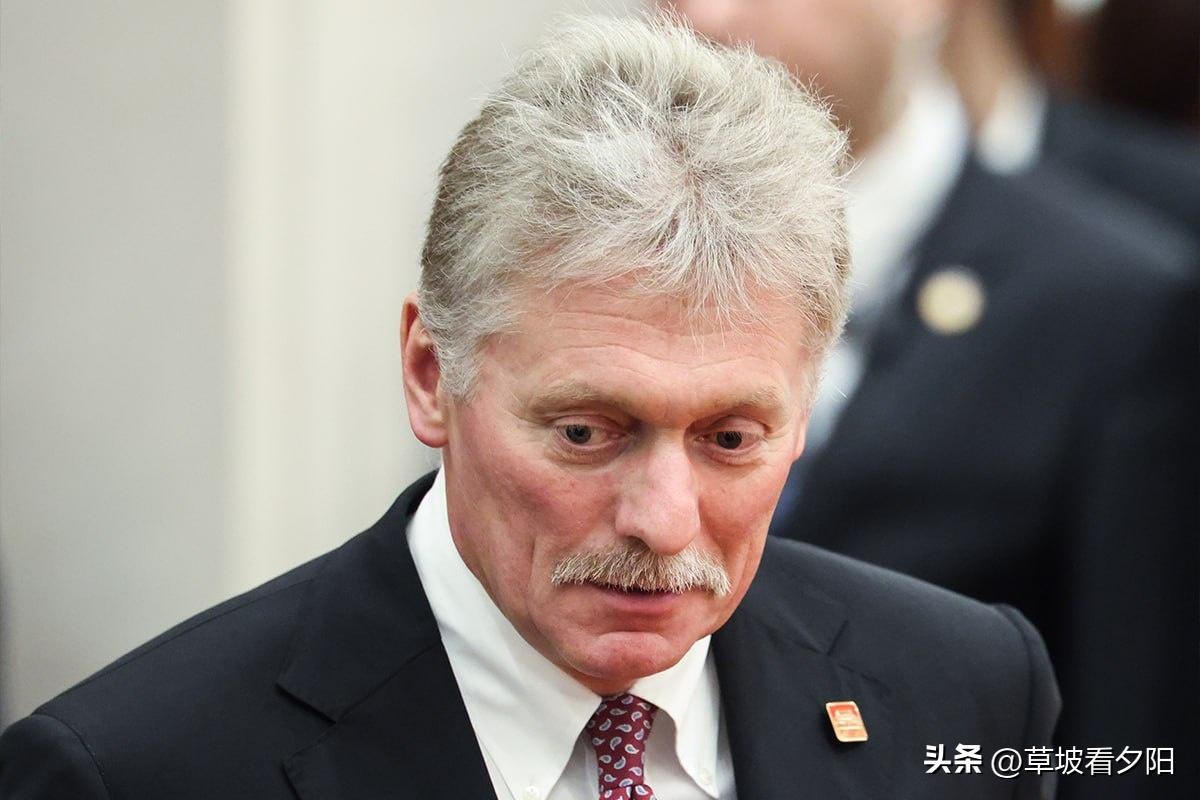 俄总统新闻秘书佩斯科夫7月3日表示，德国对一名乌克兰公民提起公诉，证实了基辅官方