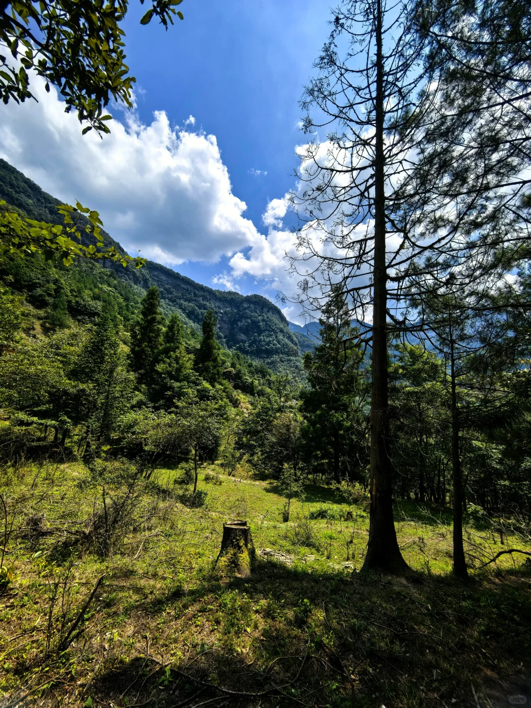 重庆徒步路线｜南川漆树堂