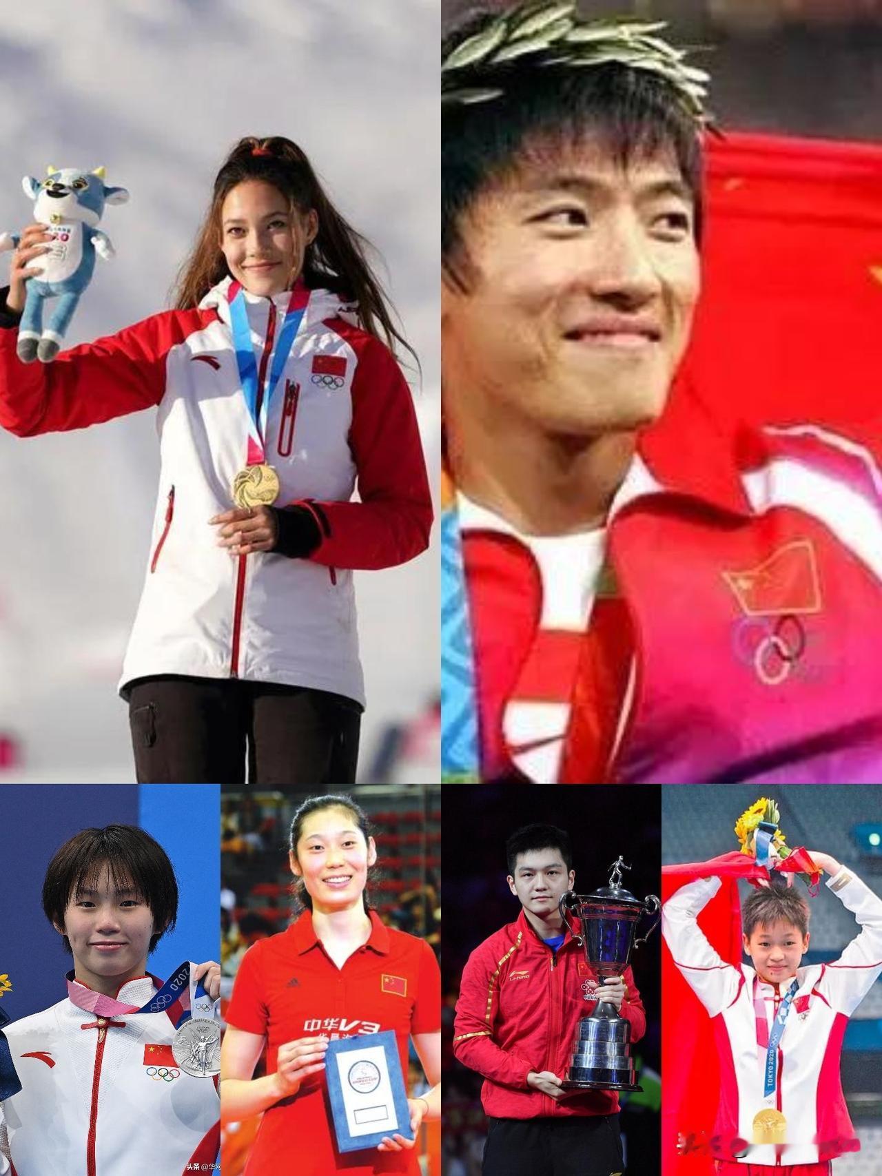 【网爆运动员的真正目的】
全红婵被网爆！
樊振东、陈梦、郭艾伦被网爆！
孙杨、刘