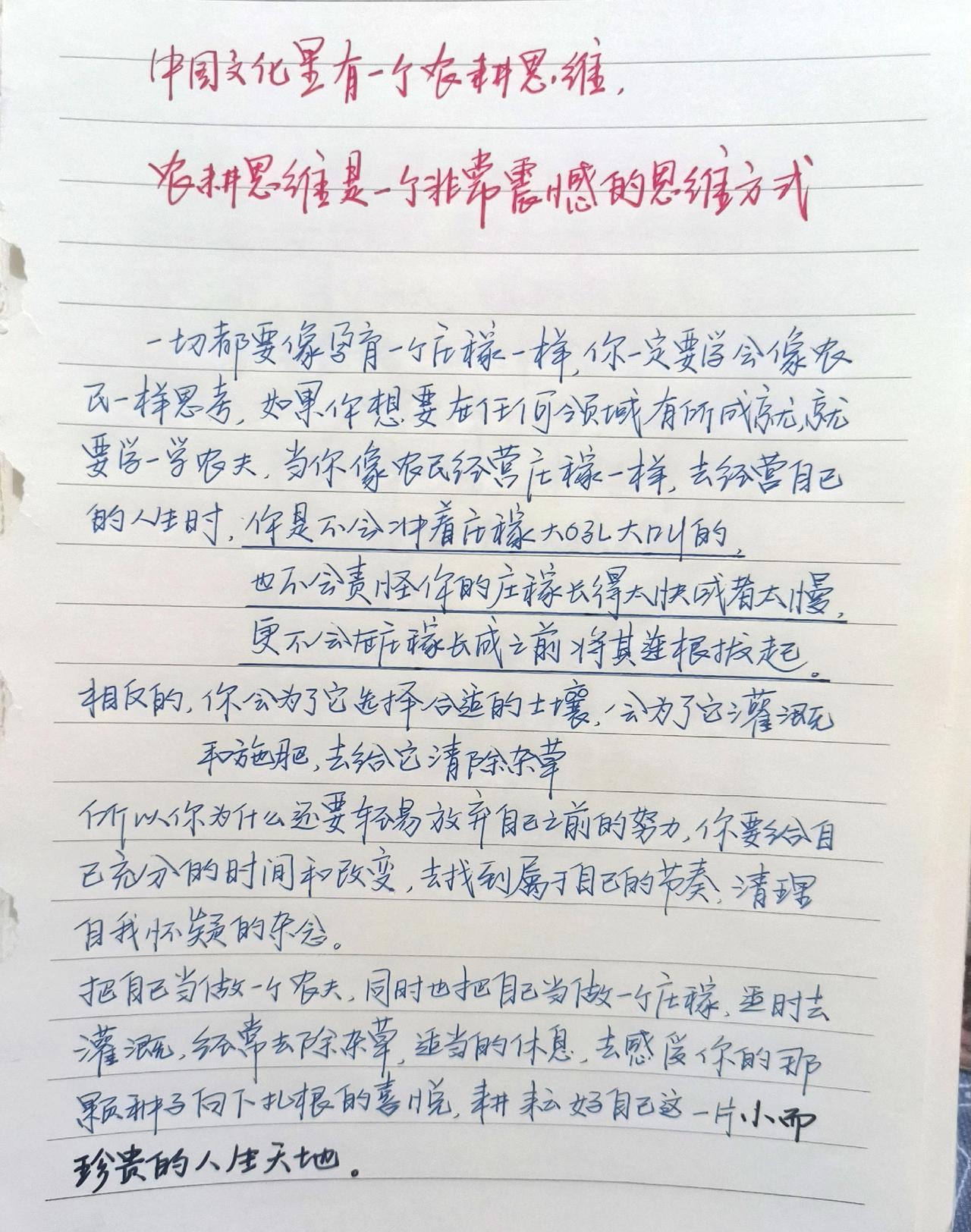 手写文字 摘抄 手写心得笔记 农耕思维 治愈