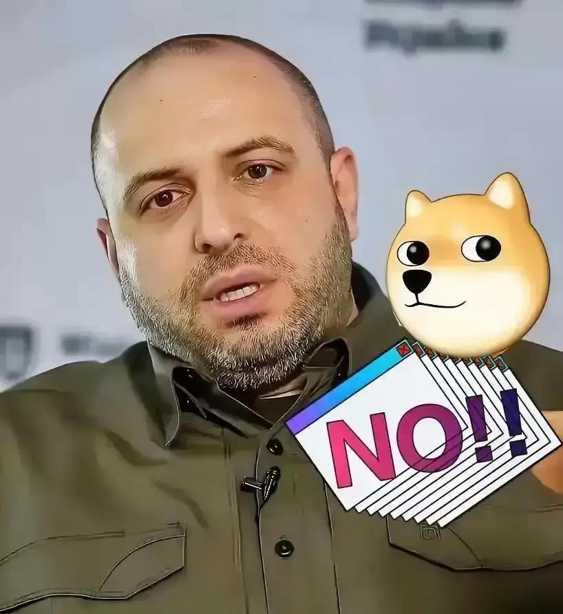 就在刚刚。乌克兰国家安全与国防委员会秘书乌梅罗夫突然宣布了：结束冲突的任何方案都