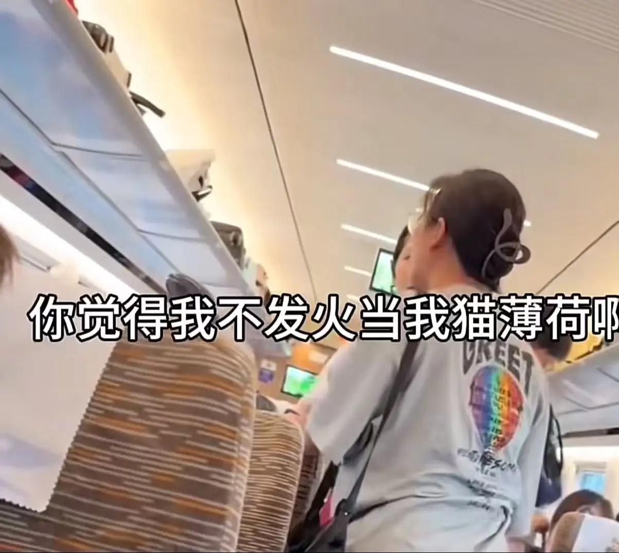 高铁上东西被当垃圾扔了，男子找她理论，结果反被骂得狗血淋头？这届乘客太"虎"了！