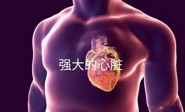我的小心脏现在如此强大了吗？
前天晚上梦到身处即将坠崖的汽车之中，淡定逃生。
昨
