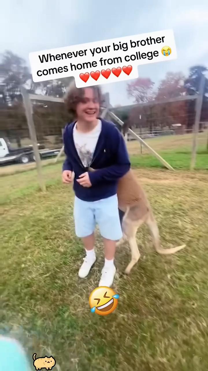 She Slipped In Front Of A10000Lb Animal。