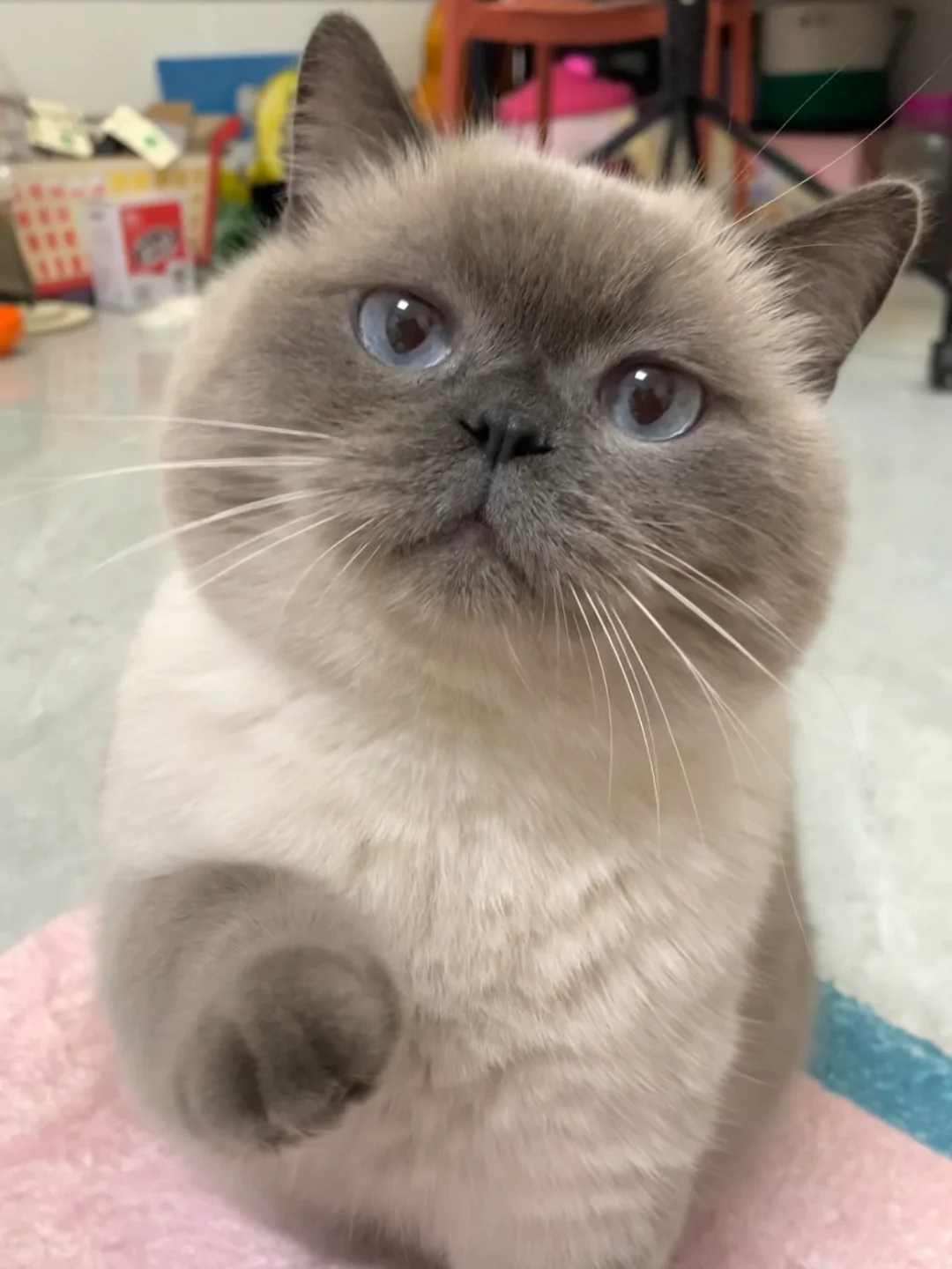 我的网名由来👆🏻