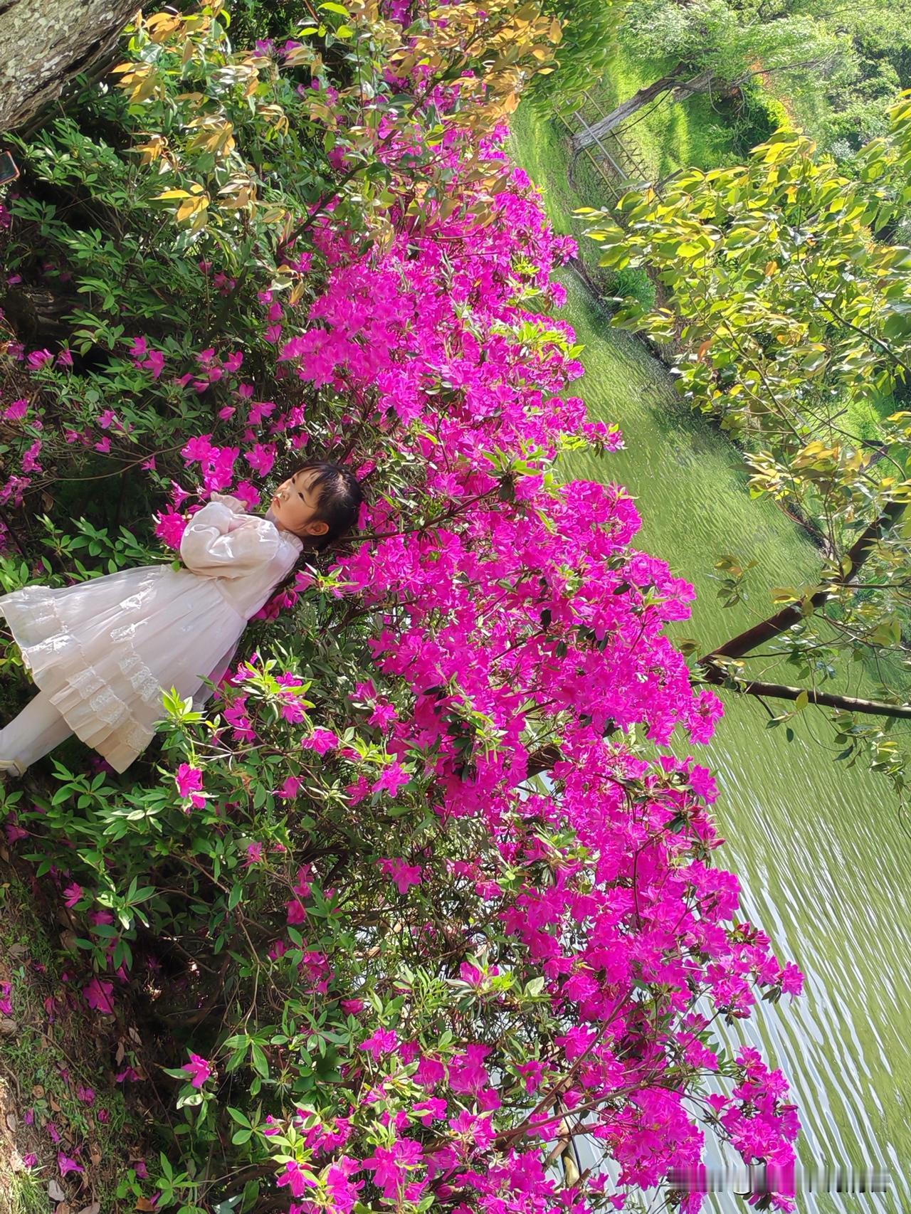 今天继续来晒我的家乡——湖北麻城移民文化公园的春日盛景。
 
这里的春天，是古建