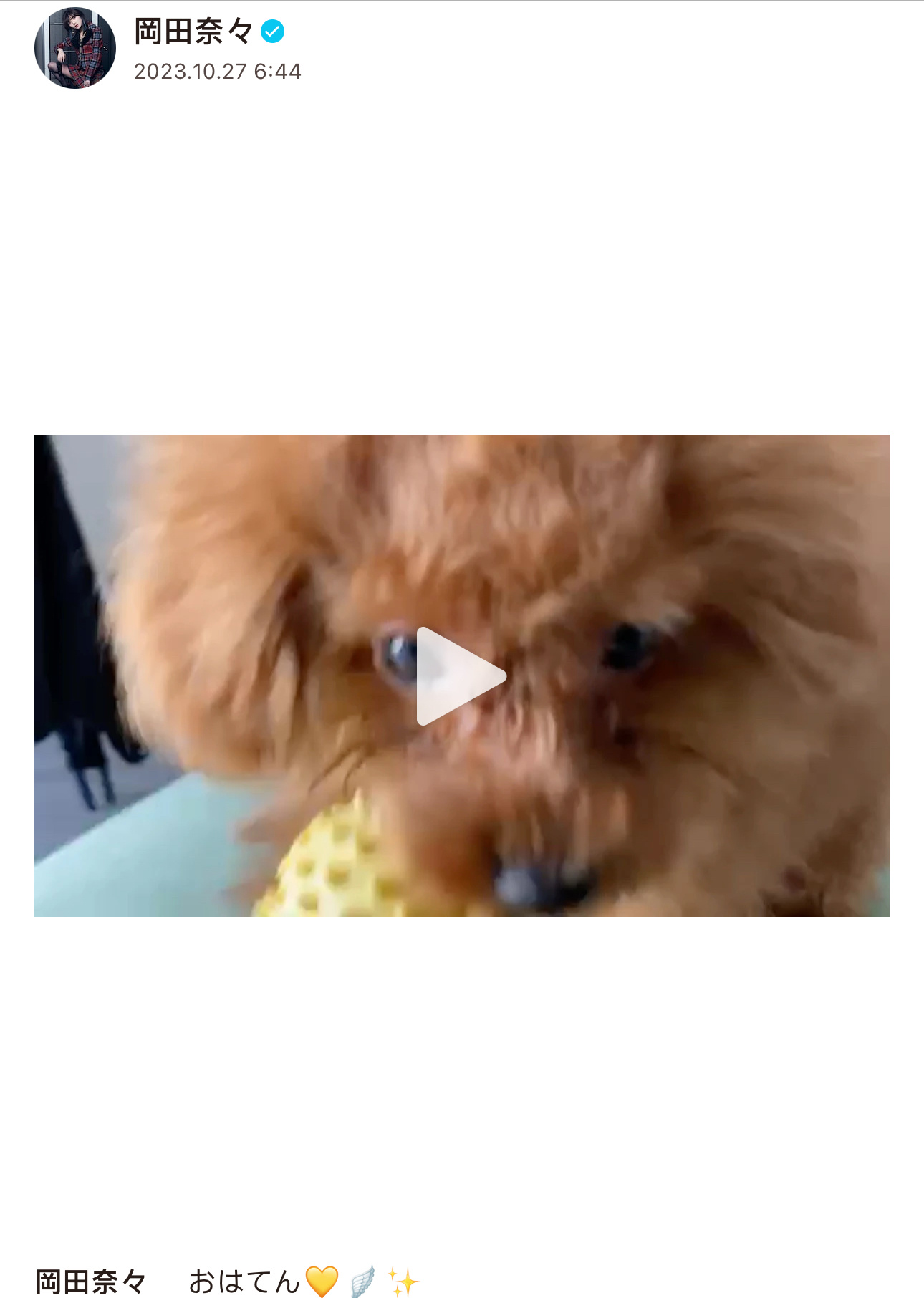 好消息：timeline的狗片好好的，今天的blog也能看坏消息：她果然不会换手