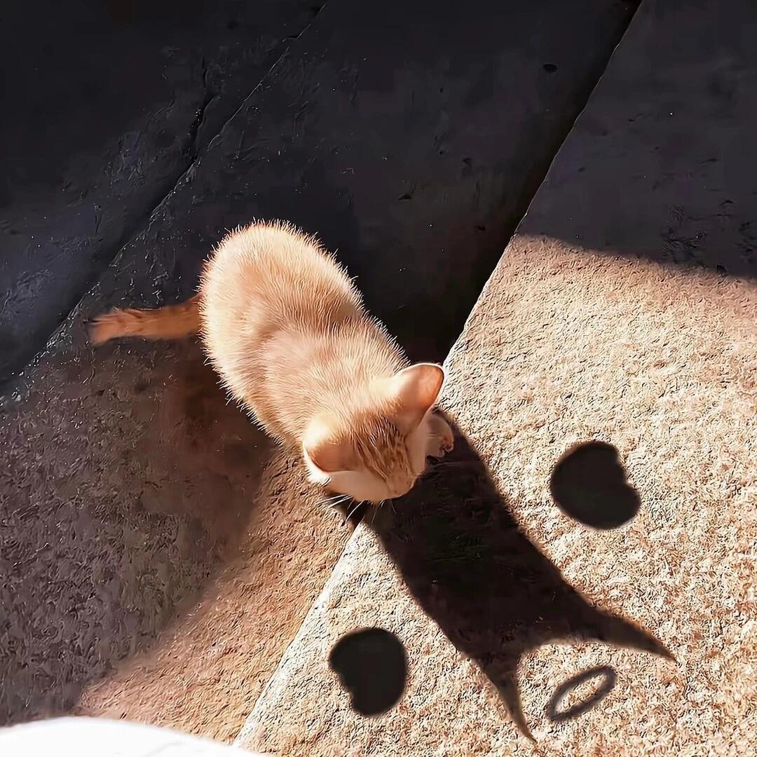 𝗥𝗲𝗮𝗹𝗶𝘁𝘆 𝗰𝗵𝗲𝗰𝗸 ⚡️“别试探人心，结果通常会