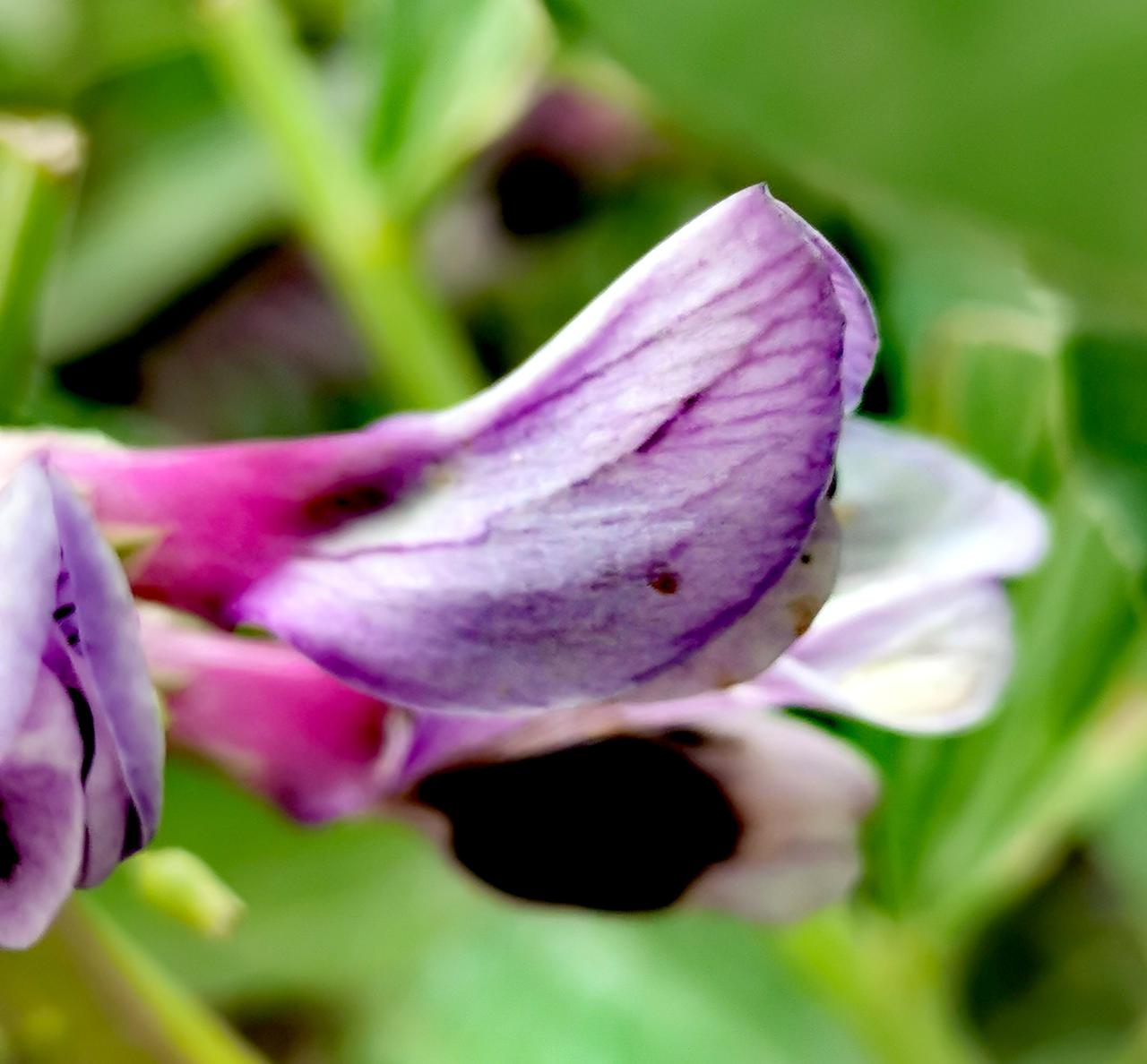 去南郑岳岭村沿途随手拍