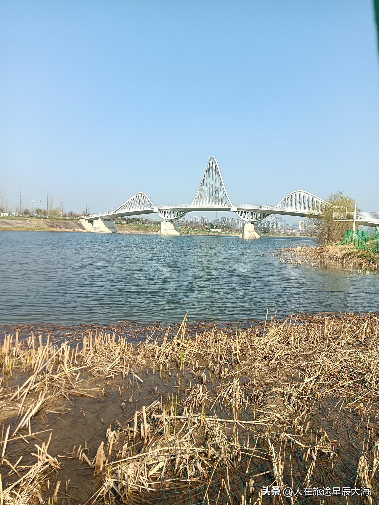 天终于放晴了，下午一路阳光普照让我在咸阳沣河金湾公园玩的个美！春天的沣河两岸花红