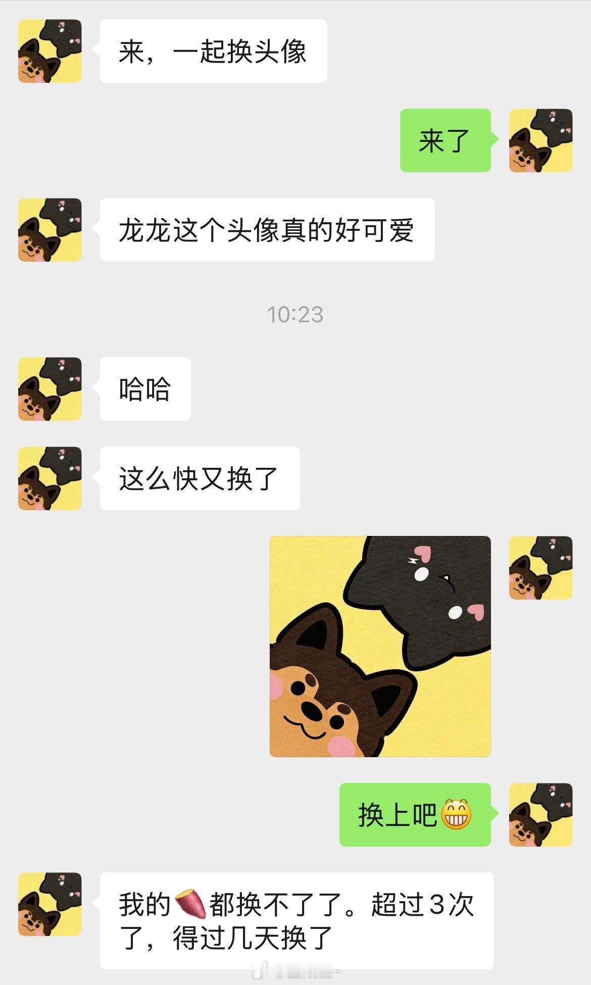 跟着宋威龙一起换头像，这里换不了 全群都是一个人