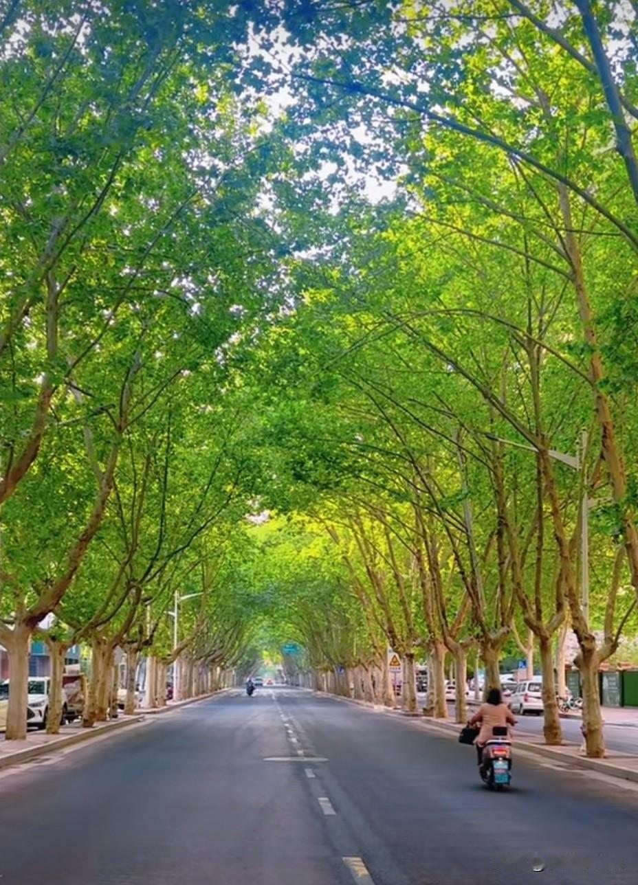人生如画，每一笔都是自己的风景
 
人生恰似一幅留白画卷，从落笔到收尾，每一道笔