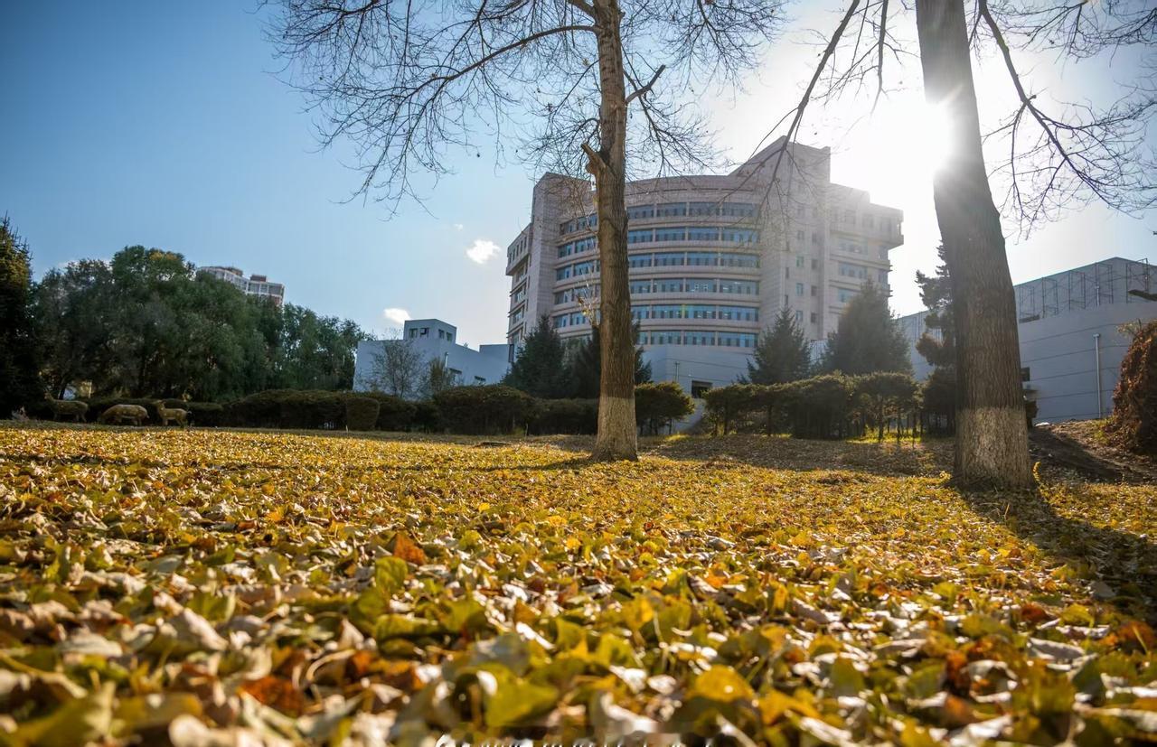 夜色渐浓，心事归零，好好睡觉是治愈一切的良方，晚安，明天见呀哈尔滨理工大学建校7