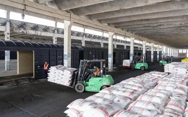 种棉花种出30万具尸体！印度被跨国巨头收割的惨案，中国是这样避开的。30万农民自