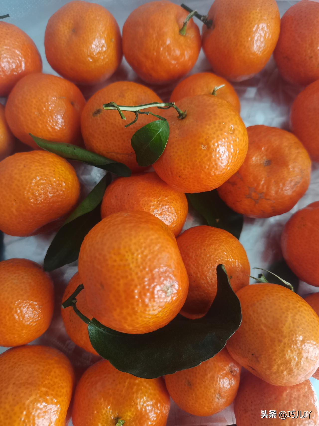 总结出一个道理，没必要的情况下，不要和陌生老人搭话，因为容易给自己惹麻烦。

今