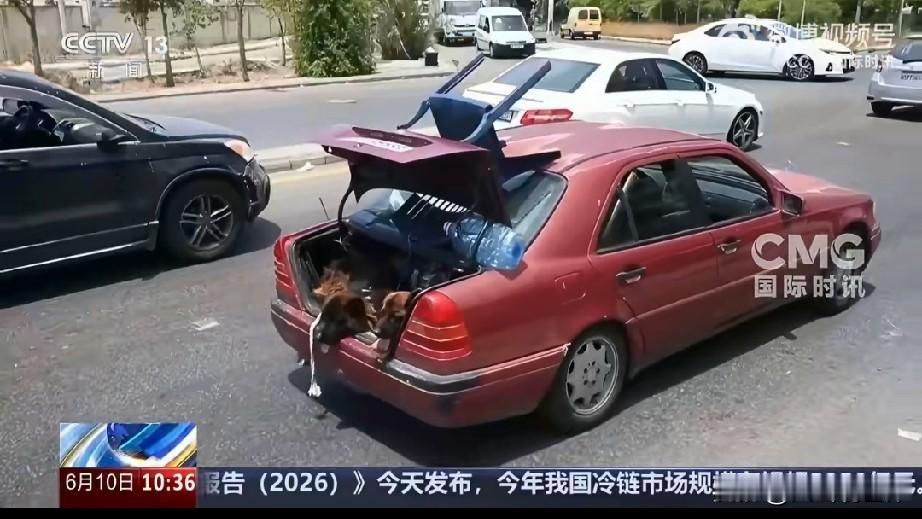 黎巴嫩彻底被清空！停火就是最大的谎言
 
太残酷了！6月9日，以色列直接勒令黎巴