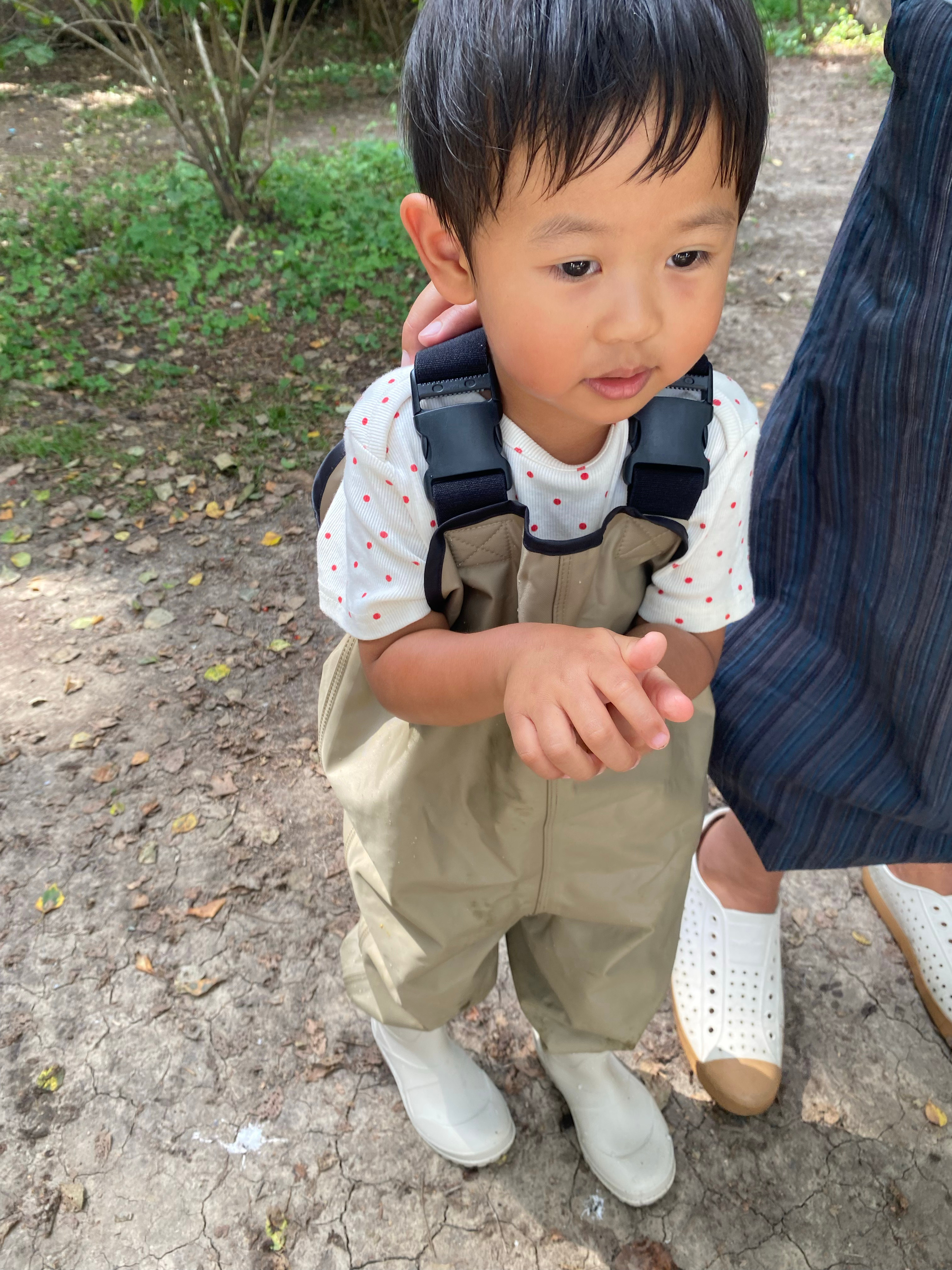 虽然妈妈酱没在，但咱宝依旧进了森林公园去玩，我瞅着挺好。 ​​​