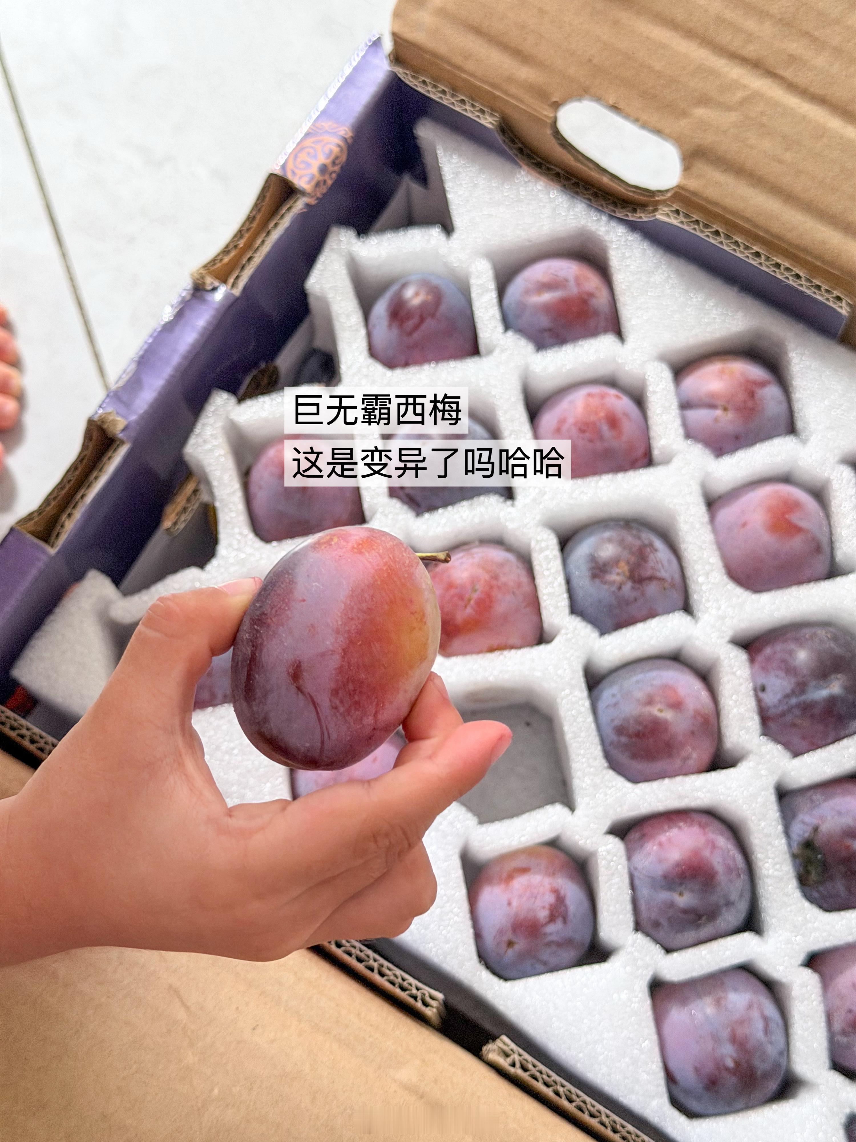 躺了五天了  上班上班 