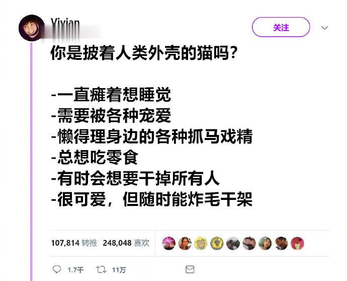 披着人类外壳的猫。 ​搞笑 ​ ​​​