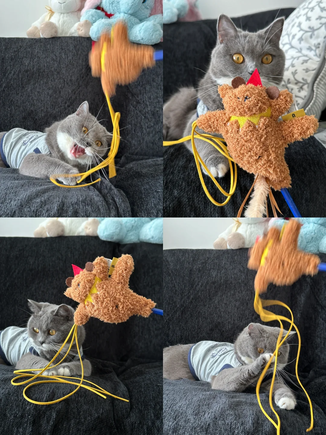 快看💨我家猫超爱这款逗猫棒🥹