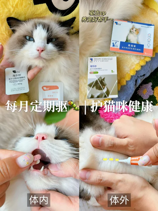 驱虫不到位  | 多宠都遭罪 😩