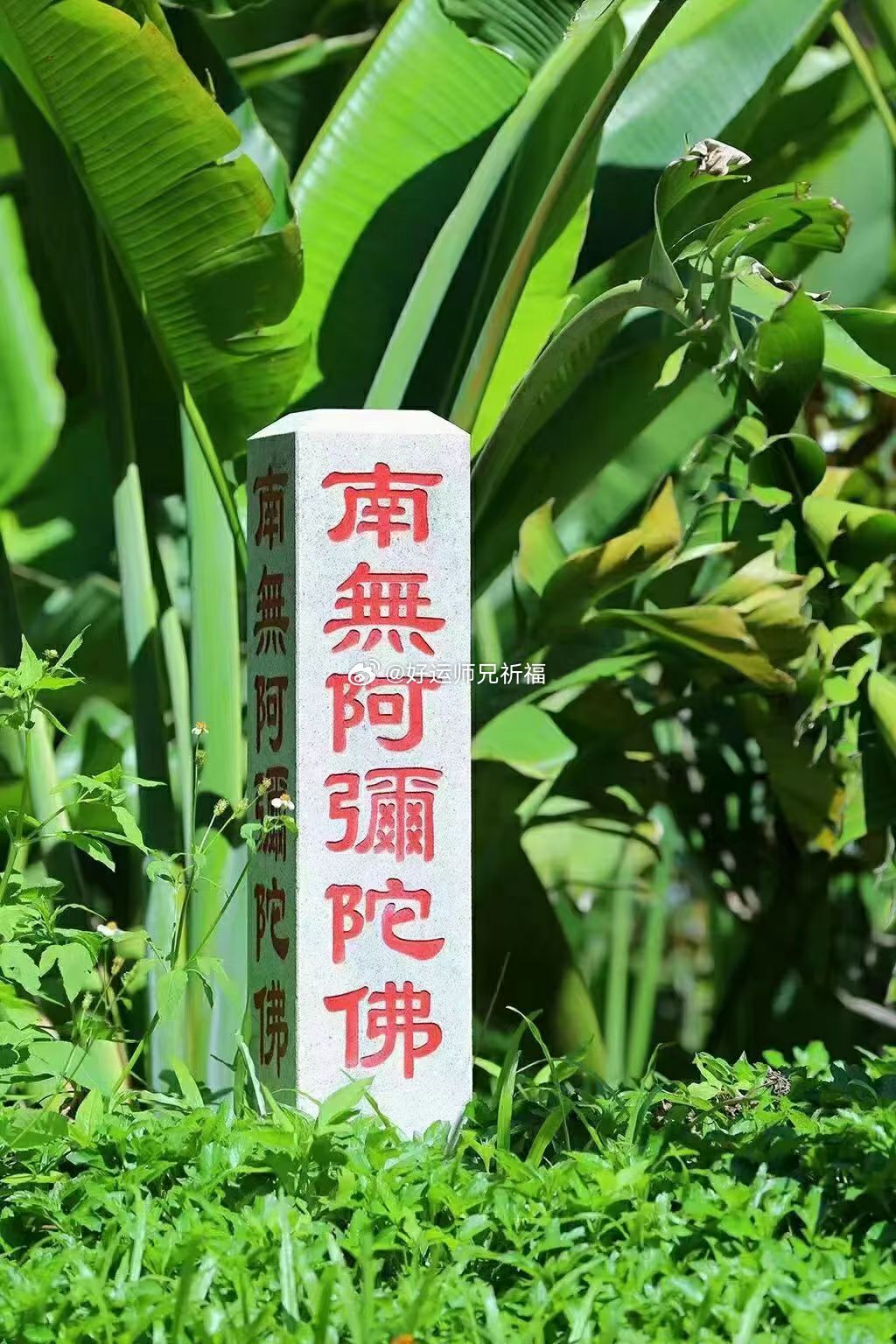 有些人命中六亲缘浅，不是没人爱，而是命运希望你学会自立自强。当你发现凡事只能靠自