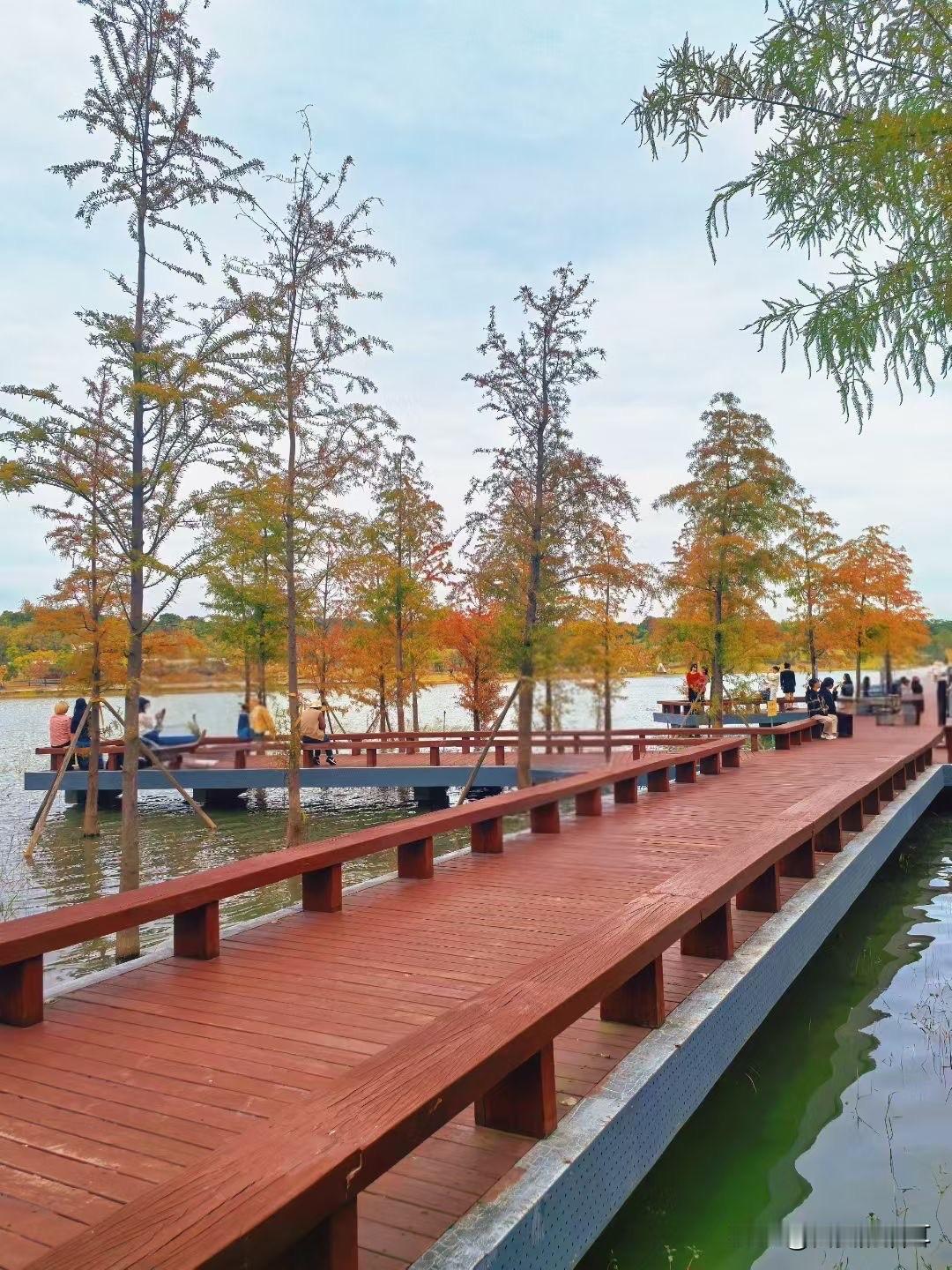 下班赶公交时，我急得直跺脚，前面阿姨却主动让我先刷卡；上车后没座位，学生妹起身时