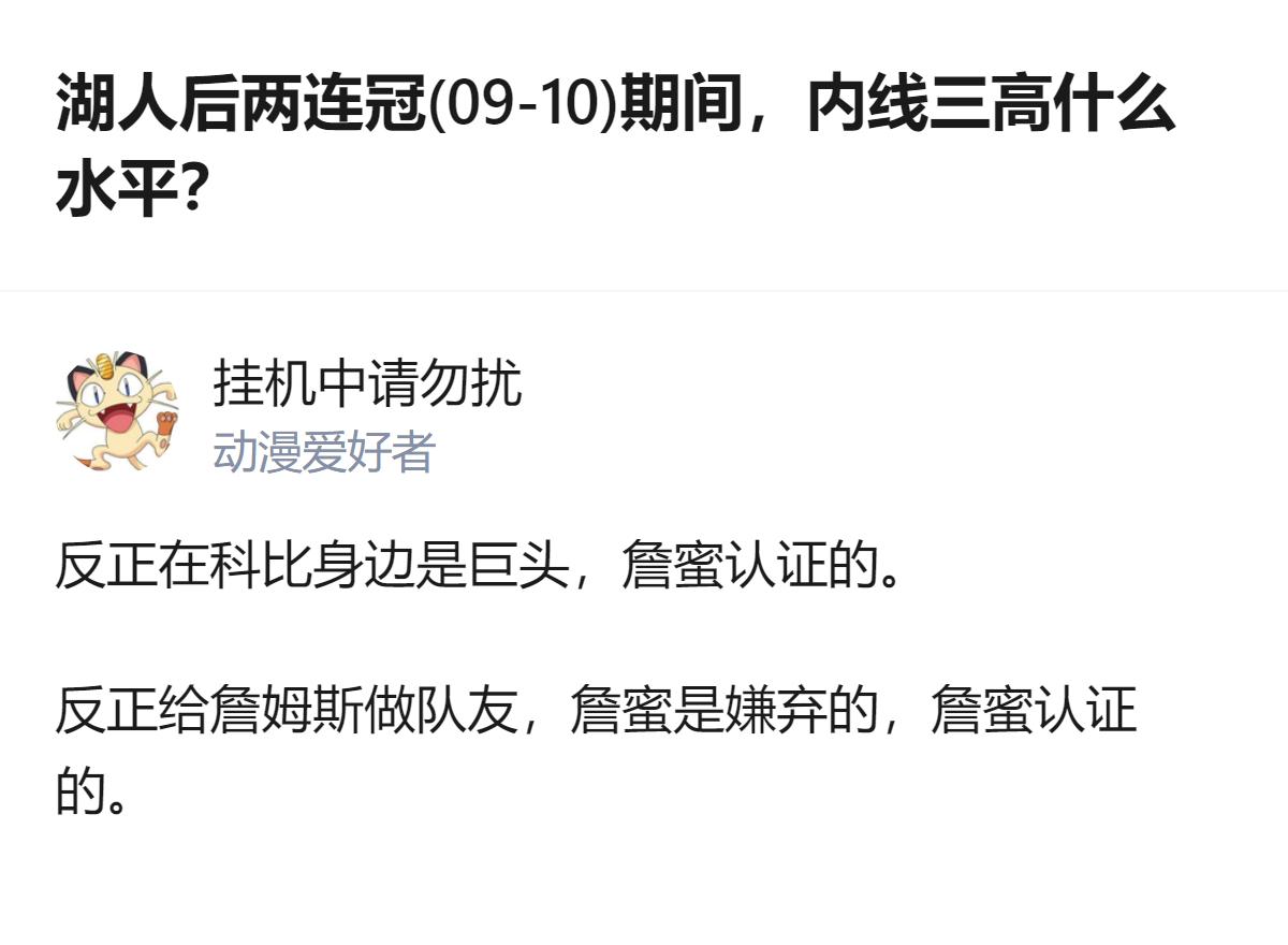 湖人那两年的内线三高，放在当时联盟是独一档的护框+篮板组合，数据没炸但作用全是看
