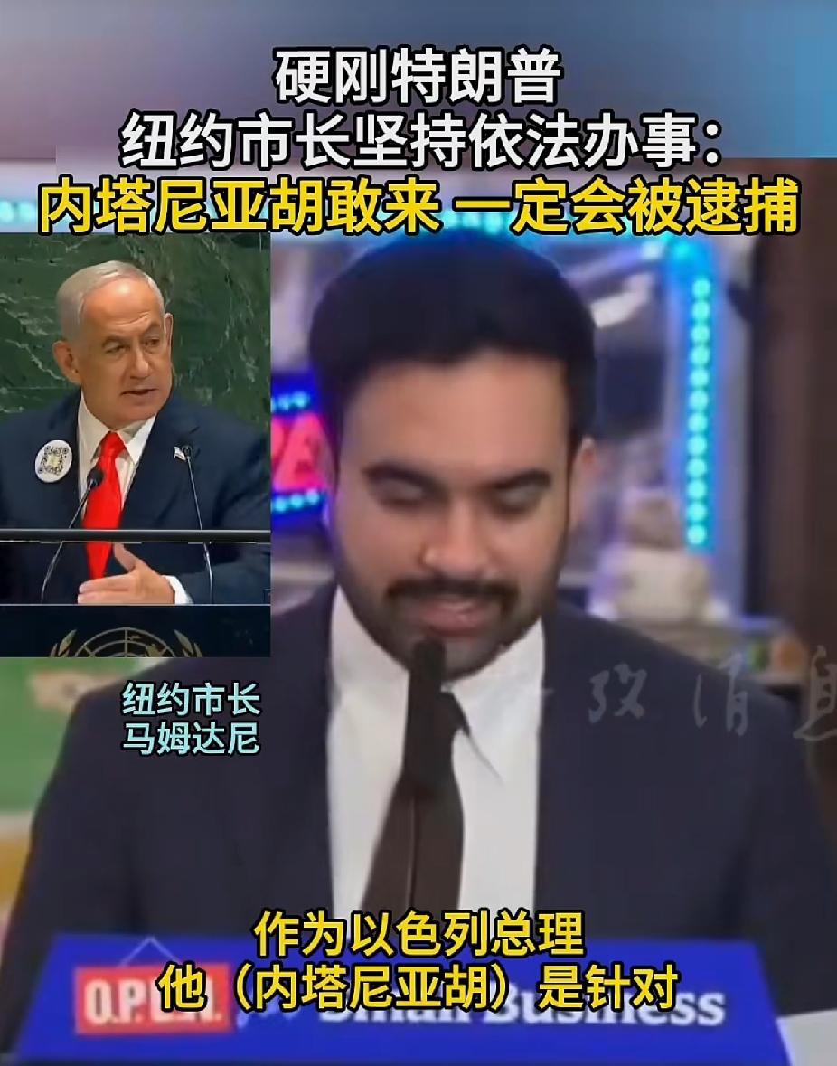 给纽约市长点赞！届时真把内塔尼亚胡抓起来了，川普不尴尬吗？想想都刺激，哈哈！😺