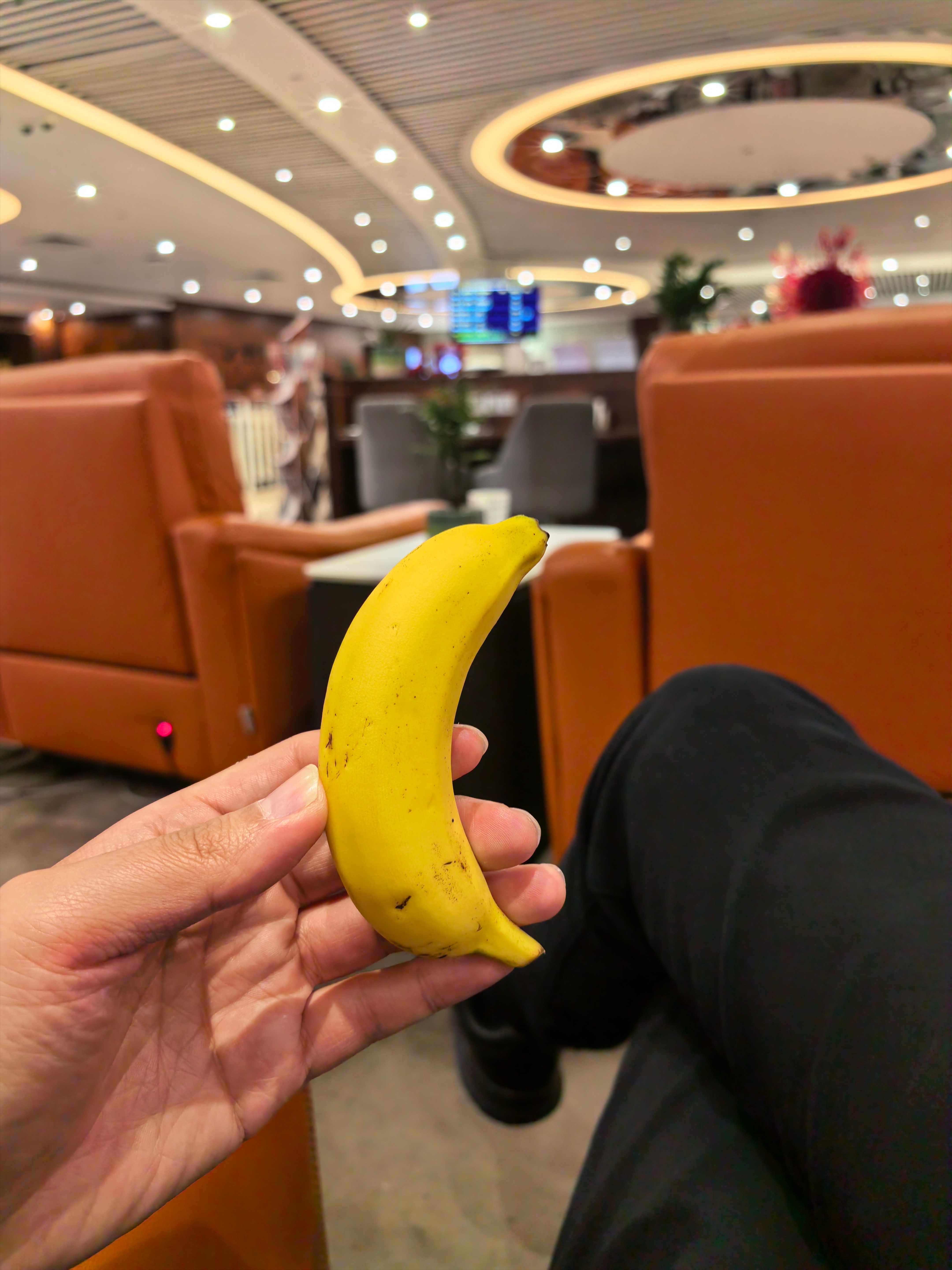 戒酒了每次喝多第二天再赶早班机太痛苦了