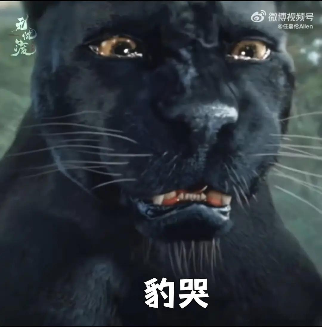 无忧渡剧粉的黑豹表情包产出可可爱爱！任嘉伦无忧渡久宣夜 ​​​