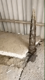 图一：每一次看人家喝这种豆汁都一脸的嫌弃，到底有多难喝啊？
图二：得什么样的人，