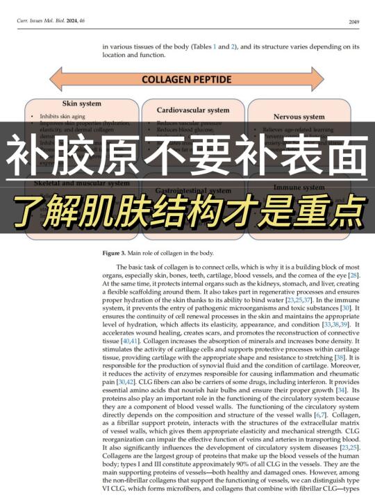 补胶原不要只补表面，了解结构才是重点