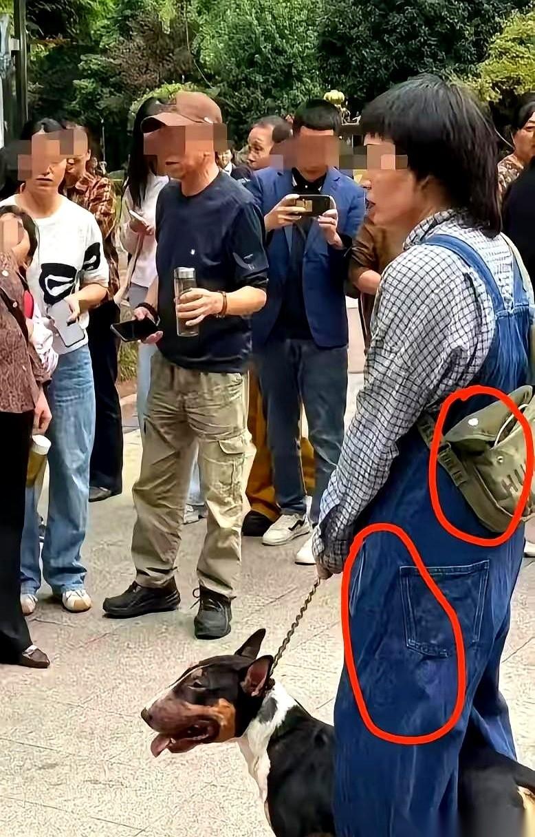 关于眉山恶犬咬人的那段网传视频，已经被全网盘包浆了。
但如果把进度条拉回去，一帧
