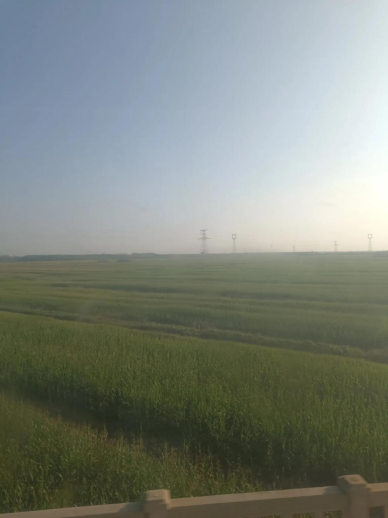 逐渐接受了生活的底色便是颠沛流离。
因此也没啥过不去。