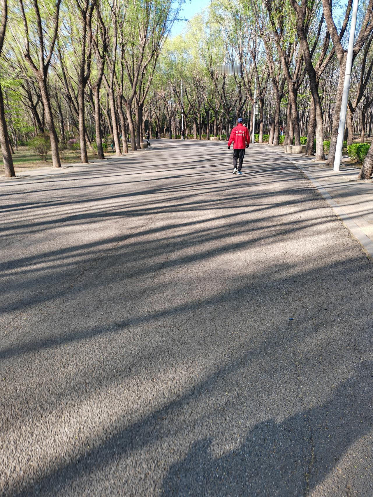 人生有时很公平，它会把一个人的反应不断放大成结果。你总是逃避，就会得到越来越少的