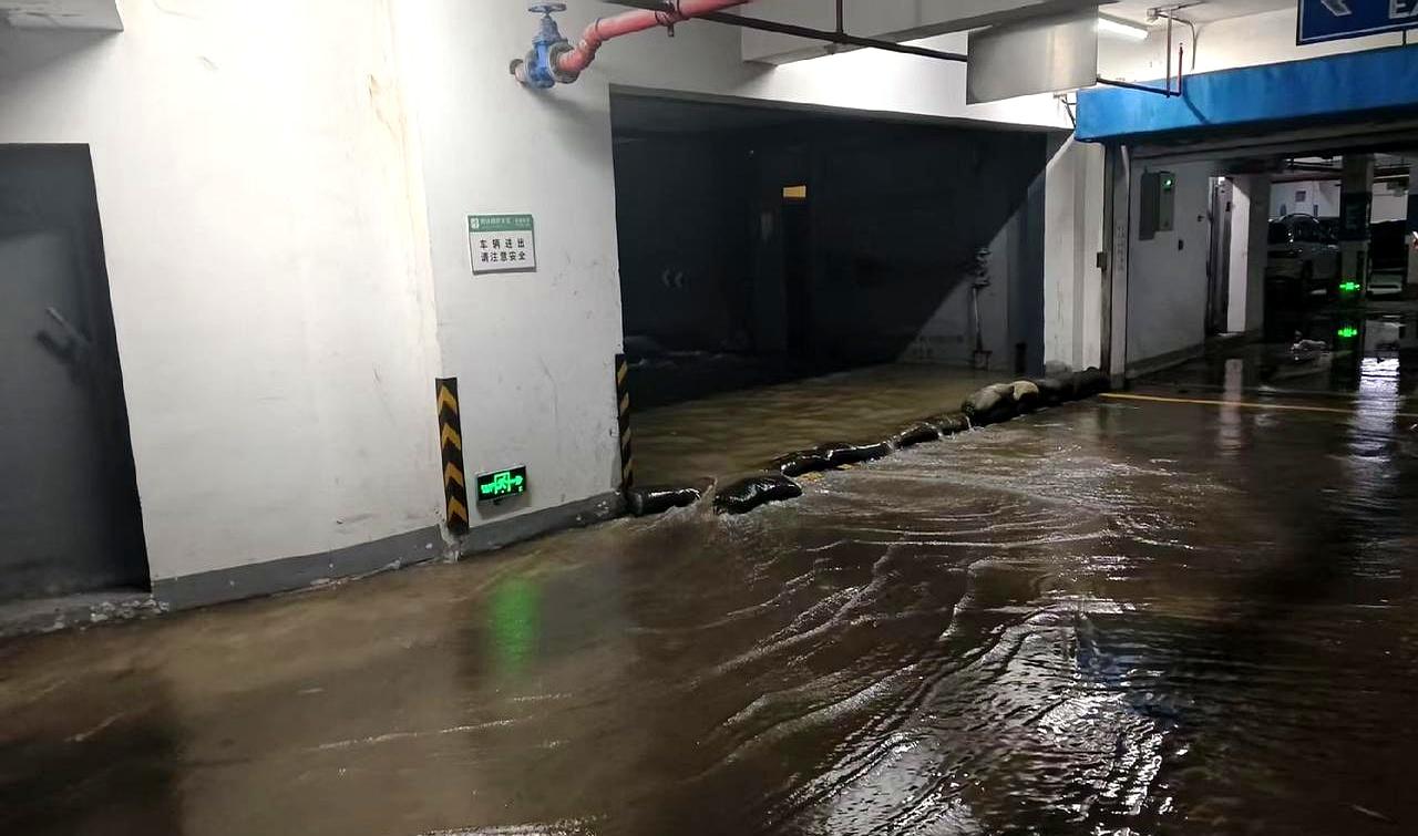 住进这套房已经十年了，车库却是头一回进水。
门一开，地面一层亮晃晃的水，顺着坡道