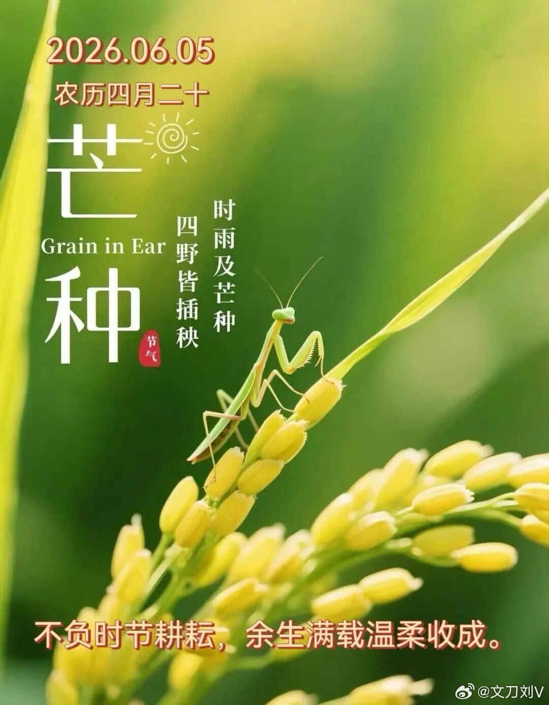 今日贴纸打卡  今天我们迎来夏天的第三节气“芒种”，也标志着仲夏开始。✌️
