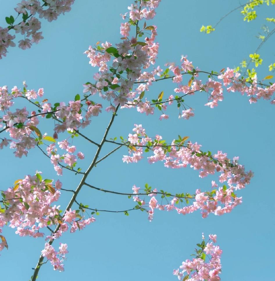 我太佩服我自己了，
除了上班，
我写了两个公众号，
还写了两个微头条，
总之这个