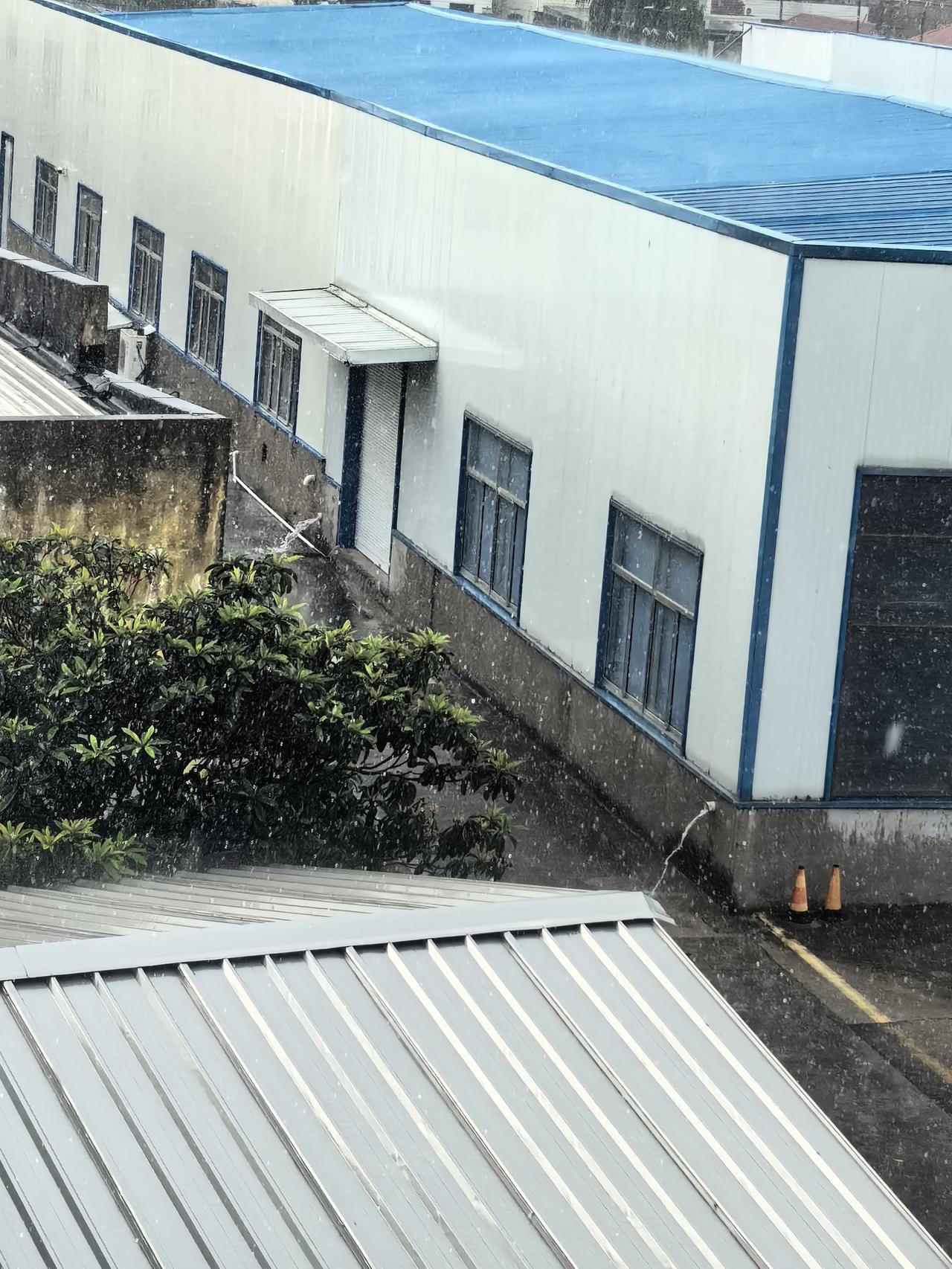 我发现最近几次我只要来如皋，他必定下大雨。今天这个下水道都忙坏了。
24号下午1
