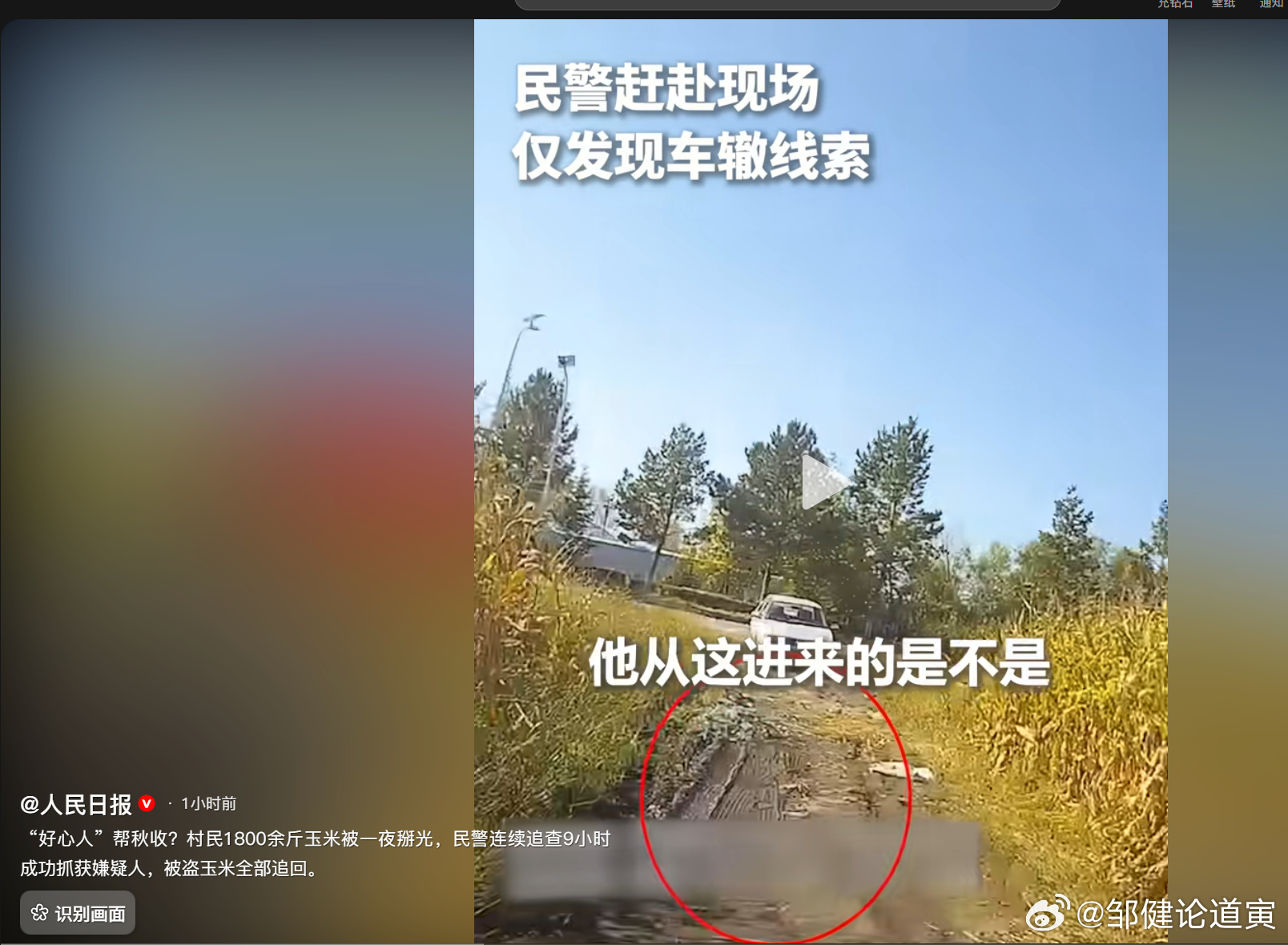 有些人它不仅在外省偷，在本地也偷。这不1800斤玉米，人家也当野生的弄走了，还挺