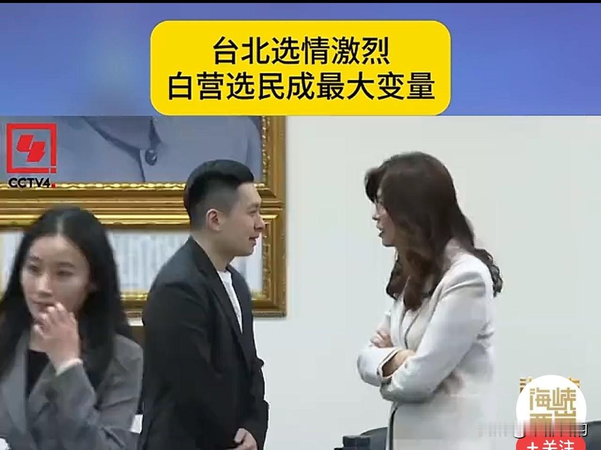 台北市长选战进入冲刺阶段，蓝绿基本盘差距已经大幅缩小，白营小草选民，成为决定胜负