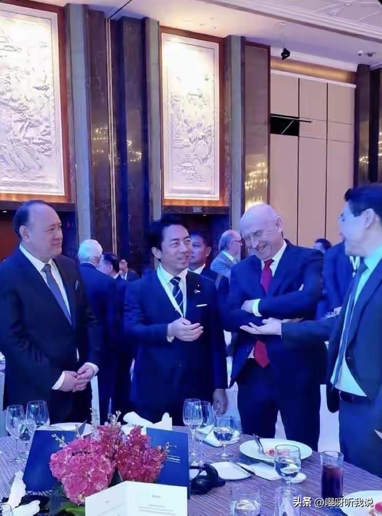 一张图就能说明白，我们派出史上最低规格的代表团参会的主要原因。

这张图是在日本